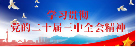 学习贯彻党的二十届三中全会精神